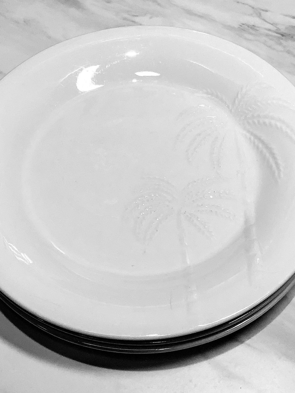 Set of 3 Casual Settings by Oneida PALMS 10 15/8 in. Dinner Plates